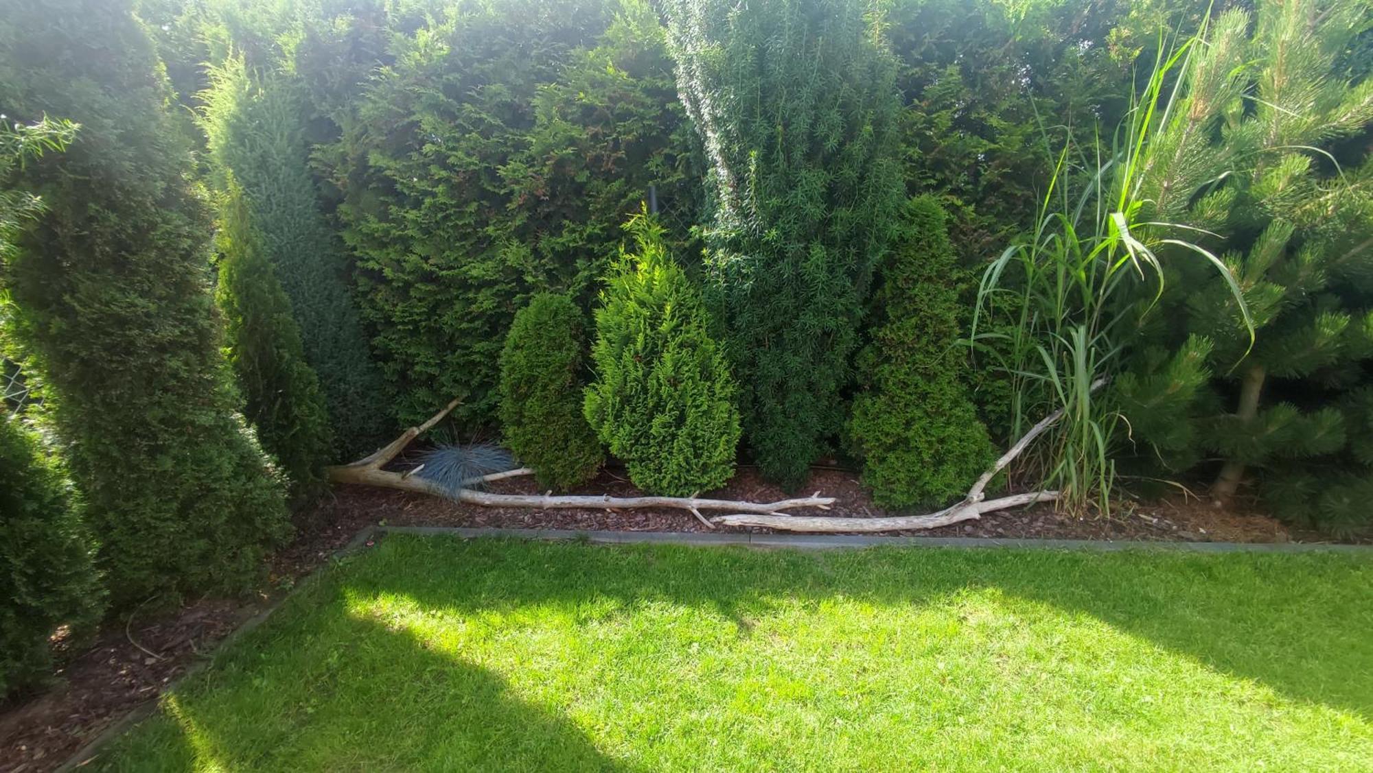 Domki Pozytywki Władysławowo Exteriér fotografie